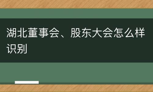 湖北董事会、股东大会怎么样识别