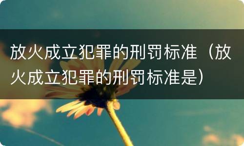放火成立犯罪的刑罚标准（放火成立犯罪的刑罚标准是）