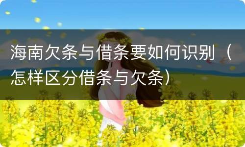 海南欠条与借条要如何识别（怎样区分借条与欠条）