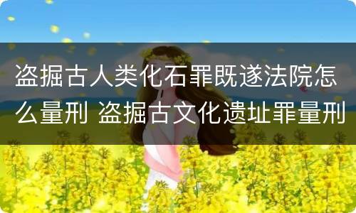 盗掘古人类化石罪既遂法院怎么量刑 盗掘古文化遗址罪量刑