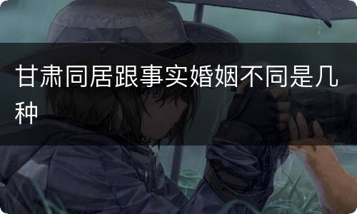 甘肃同居跟事实婚姻不同是几种