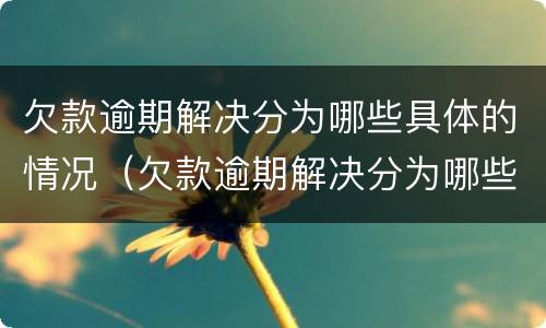 欠款逾期解决分为哪些具体的情况（欠款逾期解决分为哪些具体的情况）