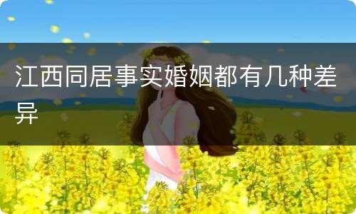 江西同居事实婚姻都有几种差异