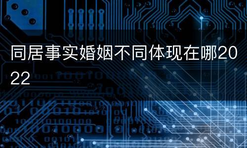 同居事实婚姻不同体现在哪2022