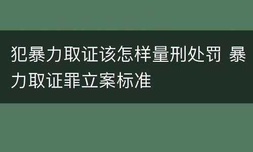 犯暴力取证该怎样量刑处罚 暴力取证罪立案标准