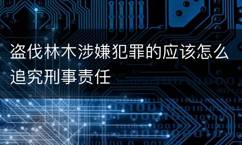 盗伐林木涉嫌犯罪的应该怎么追究刑事责任