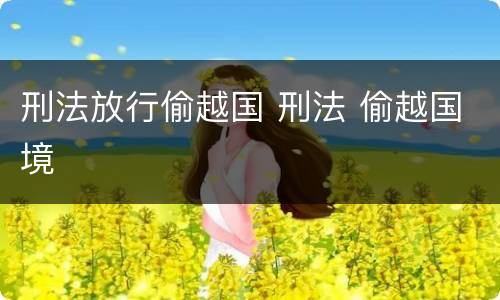 刑法放行偷越国 刑法 偷越国境