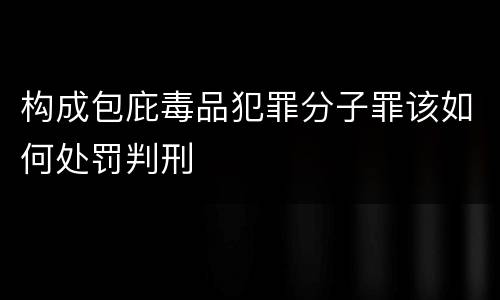 构成包庇毒品犯罪分子罪该如何处罚判刑