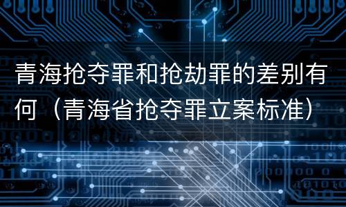 青海抢夺罪和抢劫罪的差别有何（青海省抢夺罪立案标准）