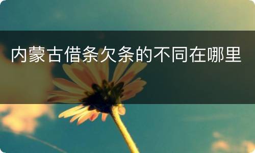 内蒙古借条欠条的不同在哪里