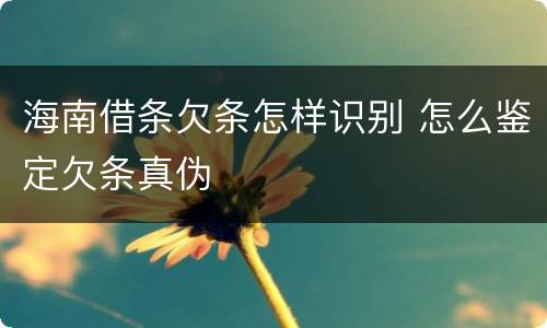 海南借条欠条怎样识别 怎么鉴定欠条真伪