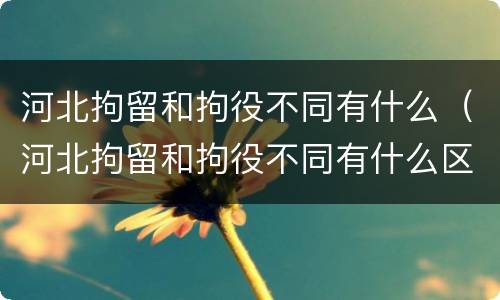 河北拘留和拘役不同有什么（河北拘留和拘役不同有什么区别）