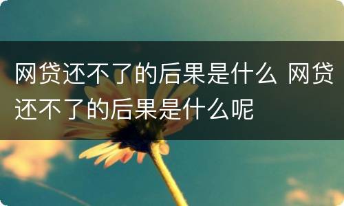 网贷还不了的后果是什么 网贷还不了的后果是什么呢