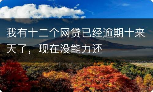 我有十二个网贷已经逾期十来天了，现在没能力还