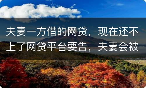 夫妻一方借的网贷，现在还不上了网贷平台要告，夫妻会被一起告吗