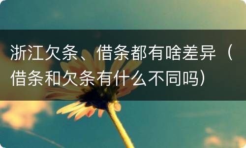 浙江欠条、借条都有啥差异（借条和欠条有什么不同吗）