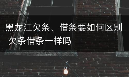 黑龙江欠条、借条要如何区别 欠条借条一样吗