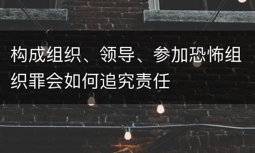 构成组织、领导、参加恐怖组织罪会如何追究责任