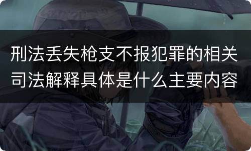 刑法丢失枪支不报犯罪的相关司法解释具体是什么主要内容