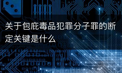 关于包庇毒品犯罪分子罪的断定关键是什么