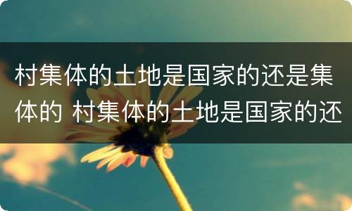 村集体的土地是国家的还是集体的 村集体的土地是国家的还是集体的土地