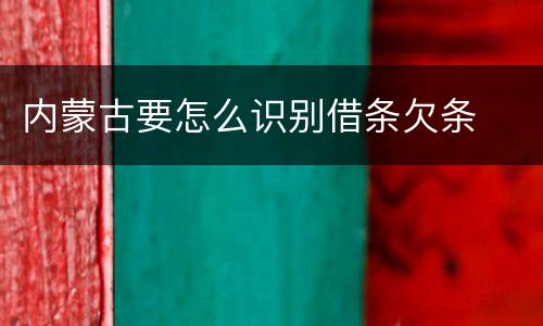 内蒙古要怎么识别借条欠条