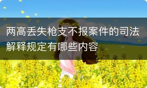 两高丢失枪支不报案件的司法解释规定有哪些内容