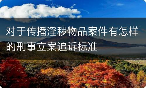对于传播淫秽物品案件有怎样的刑事立案追诉标准