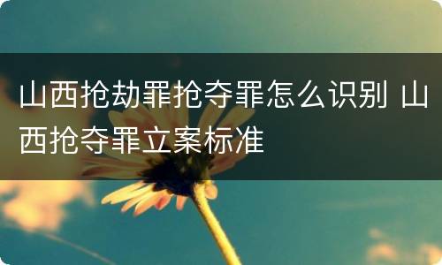 山西抢劫罪抢夺罪怎么识别 山西抢夺罪立案标准