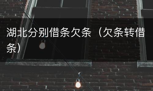 湖北分别借条欠条（欠条转借条）