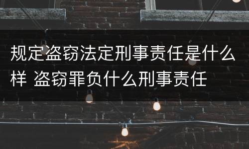 规定盗窃法定刑事责任是什么样 盗窃罪负什么刑事责任