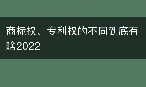 商标权、专利权的不同到底有啥2022