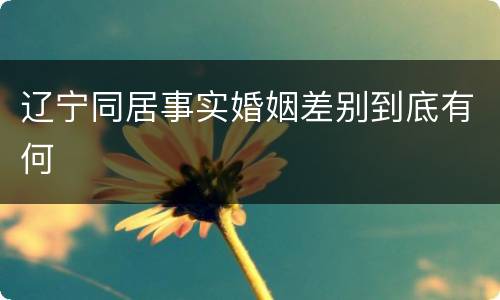 辽宁同居事实婚姻差别到底有何