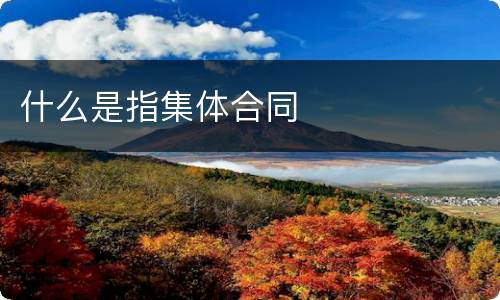 什么是指集体合同