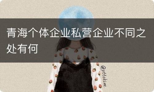 青海个体企业私营企业不同之处有何