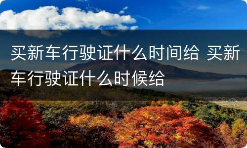 买新车行驶证什么时间给 买新车行驶证什么时候给