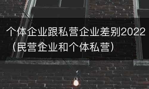 个体企业跟私营企业差别2022（民营企业和个体私营）