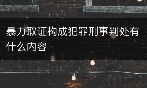 暴力取证构成犯罪刑事判处有什么内容
