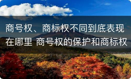 商号权、商标权不同到底表现在哪里 商号权的保护和商标权的保护一样是全国性范围的
