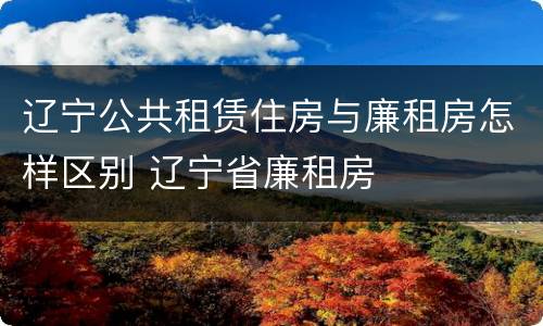 辽宁公共租赁住房与廉租房怎样区别 辽宁省廉租房