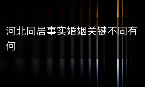 河北同居事实婚姻关键不同有何
