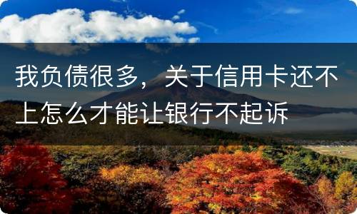 我负债很多，关于信用卡还不上怎么才能让银行不起诉