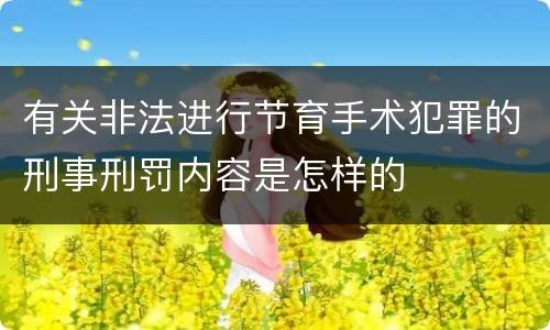 有关非法进行节育手术犯罪的刑事刑罚内容是怎样的