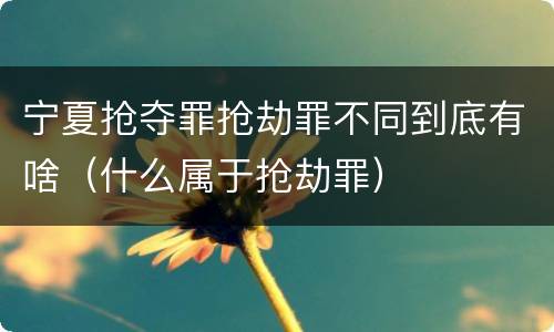 宁夏抢夺罪抢劫罪不同到底有啥（什么属于抢劫罪）