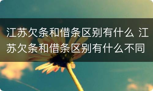 江苏欠条和借条区别有什么 江苏欠条和借条区别有什么不同
