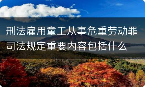 刑法雇用童工从事危重劳动罪司法规定重要内容包括什么
