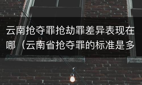 云南抢夺罪抢劫罪差异表现在哪（云南省抢夺罪的标准是多少?）