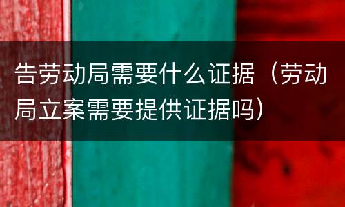 告劳动局需要什么证据（劳动局立案需要提供证据吗）