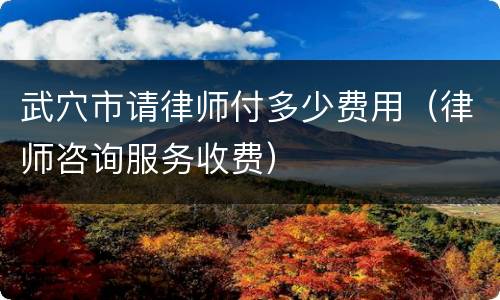 武穴市请律师付多少费用（律师咨询服务收费）