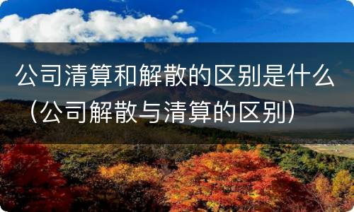 公司清算和解散的区别是什么（公司解散与清算的区别）